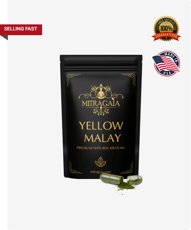 Yellow_Malay_Capsules